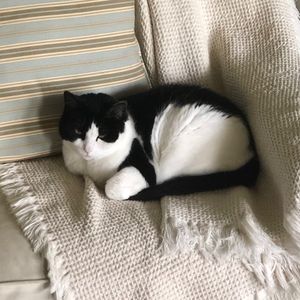 Meet your Posher, Penni